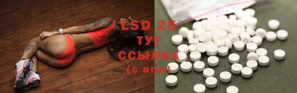 твердый Алзамай