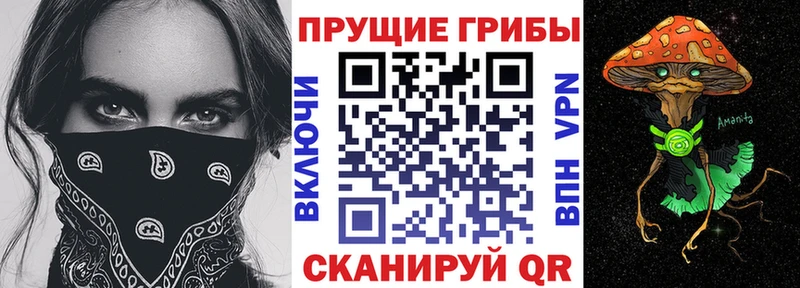 Псилоцибиновые грибы ЛСД  продажа наркотиков  Сясьстрой 